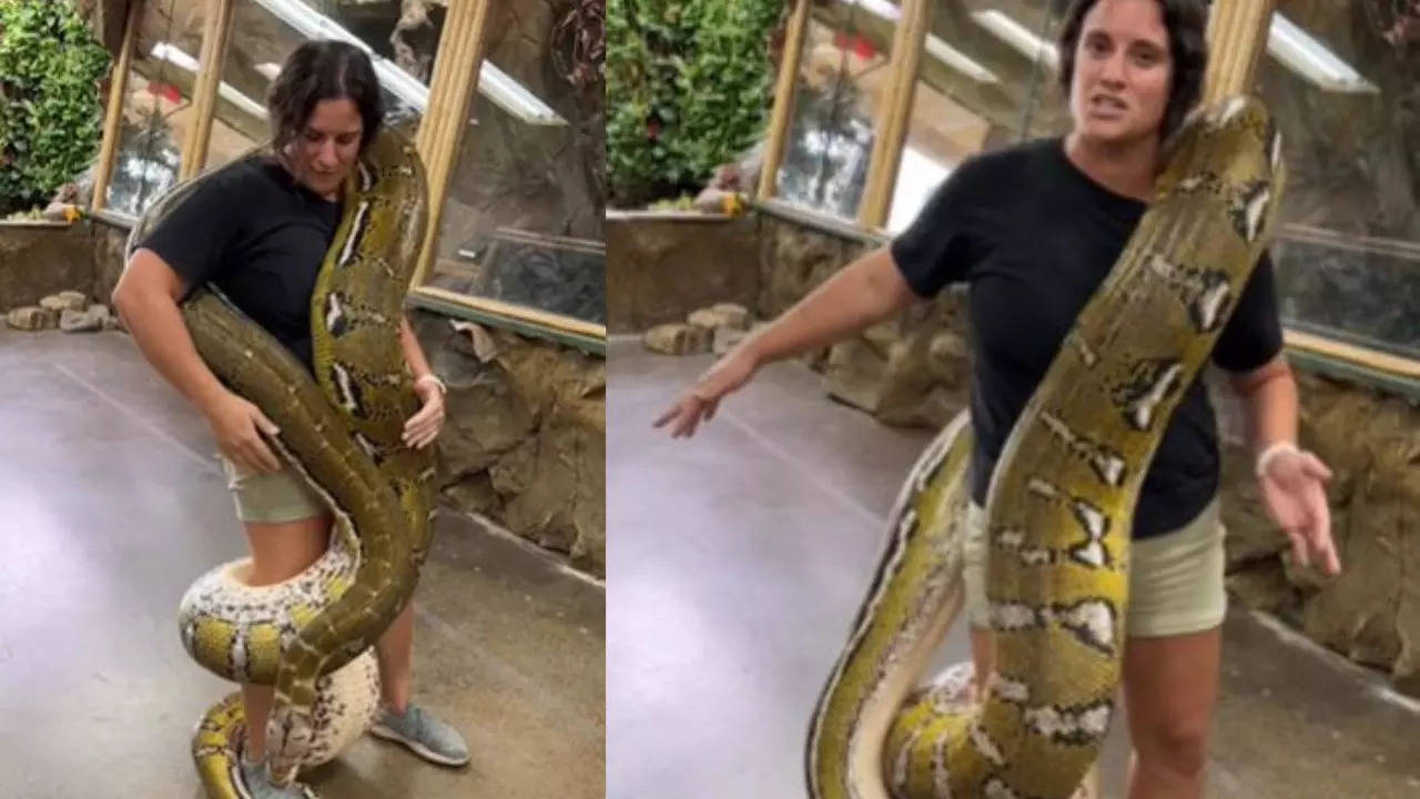 Viral Video Of Woman Smiling With Python Wrapped Around Her Body Is ...