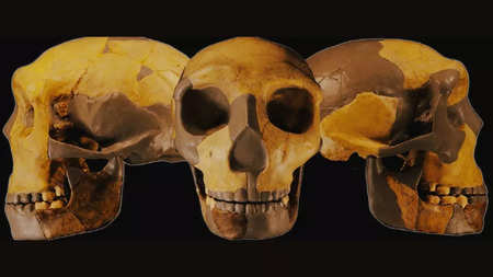 Ancient Skull Unearthed in China Unlike Any Human Ever Seen Before. See  Pics | Viral News, Times Now