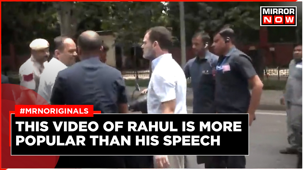 On Way To Parliament, Rahul Gandhi Stops To Help Rider Who Fell Off His ...