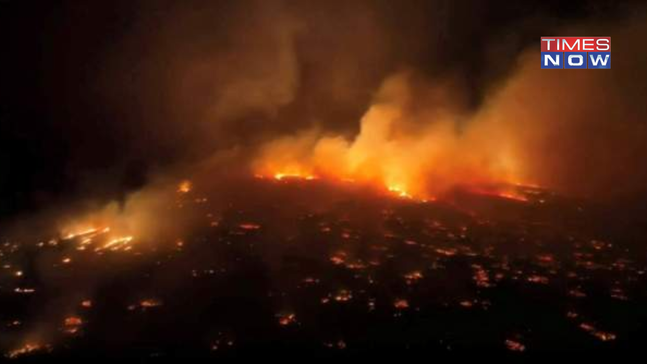 Hawaii Wildfires: 6 Dead as Hurricane Dora Fuels Wildfire in Maui