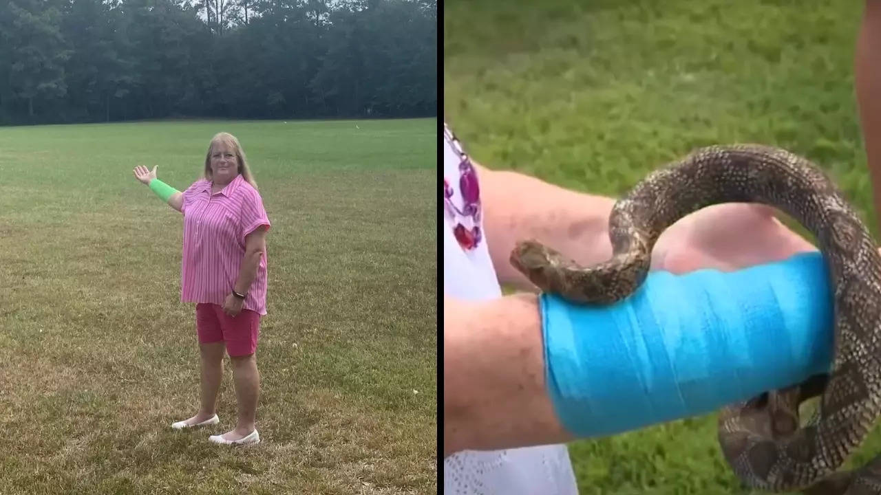 A hawk flying overhead dropped the snake onto Peggy Jones arm while she was mowing her Texas house's lawn. | Courtesy: Fox