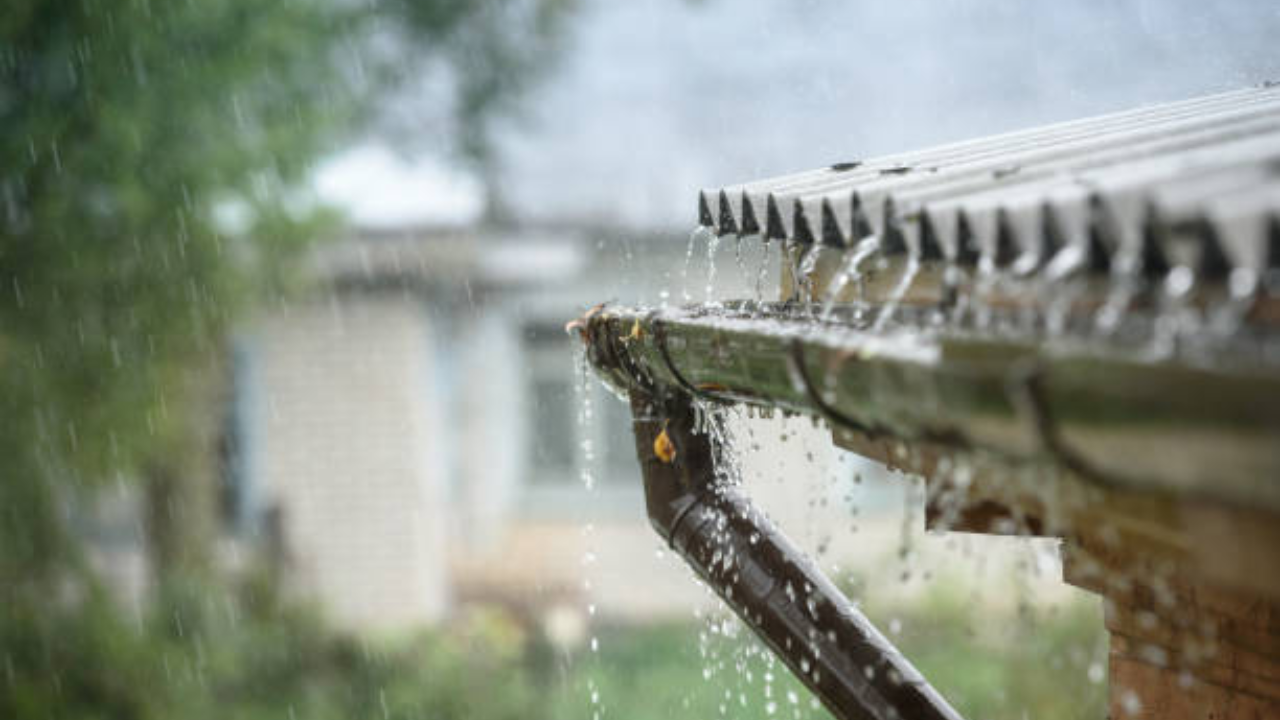 Respite From Heat: Delhi-NCR Receives Much-Needed Rain