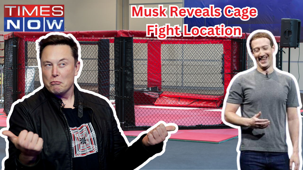 Elon vs Mark: Cage Fight