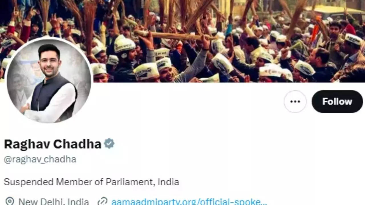 Raghav Chadha bio on Twitter