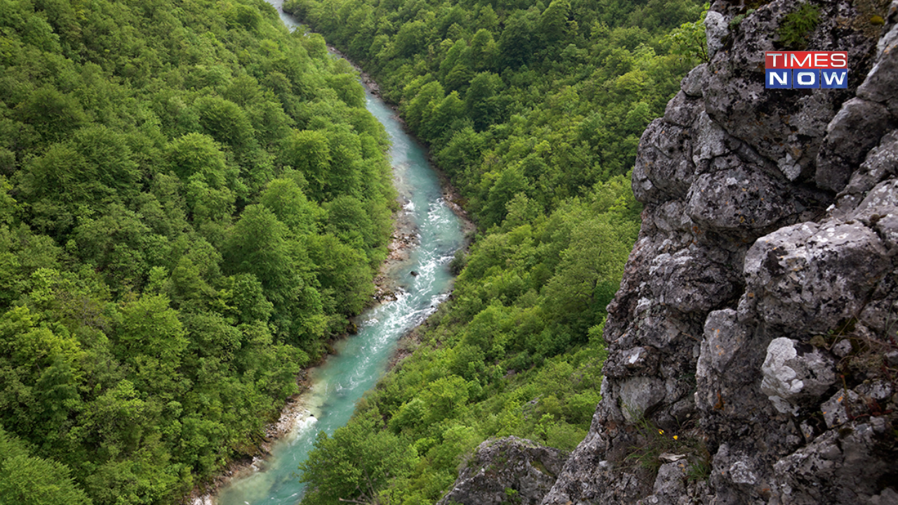 Scientists Fighting Uphill Battle to Save Europe's 'Blue Heart' From Dams