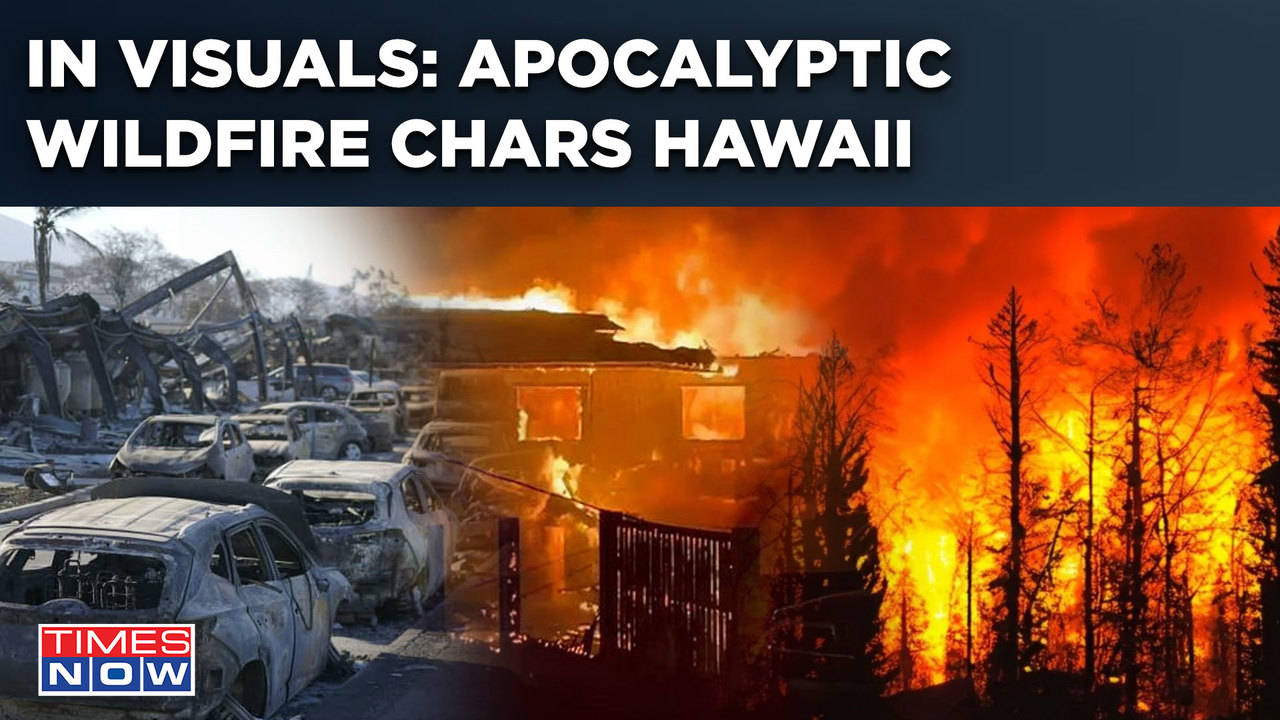 Why Hawaii Wildfires Moved 'Shockingly Fast' What Caused The Disaster What Made It