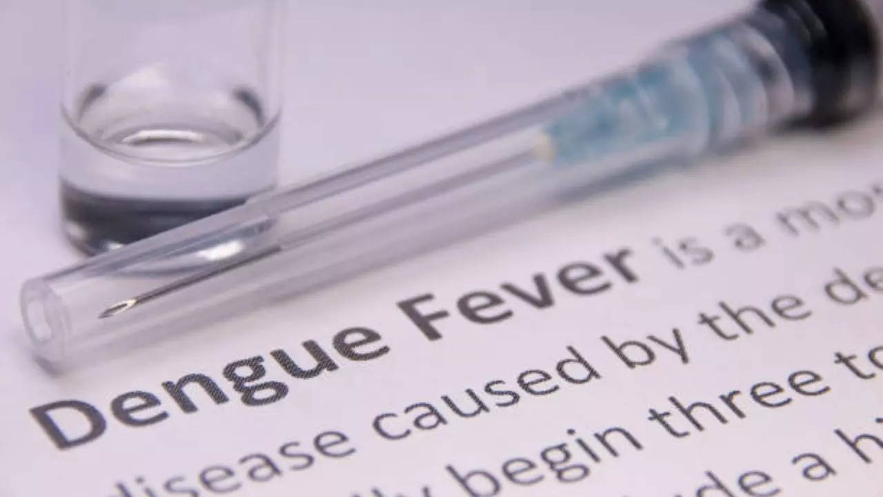 Dengue Fever