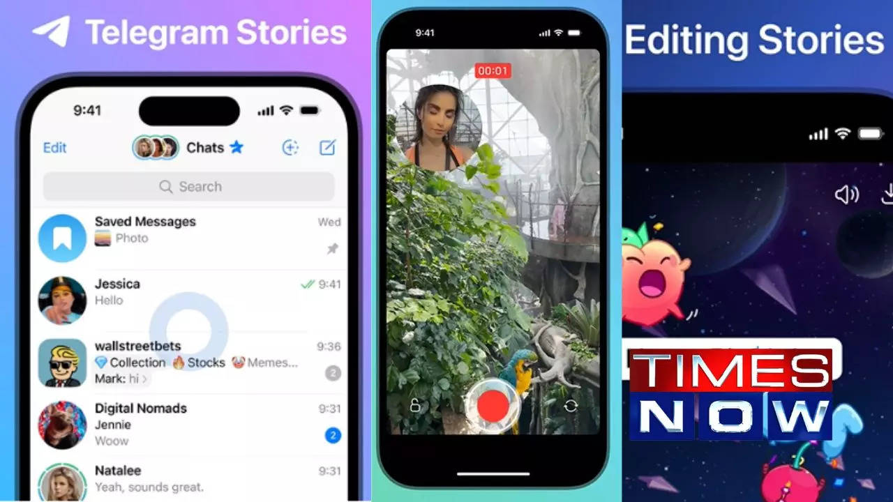 Telegram Stories