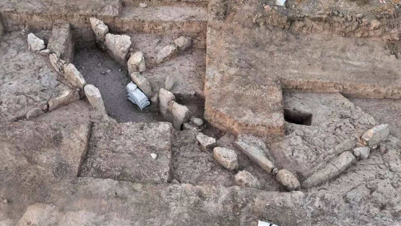 The ancient gate at Tell Erani (Image Credit: Yoli Schwartz, Israel Antiquities Authority)