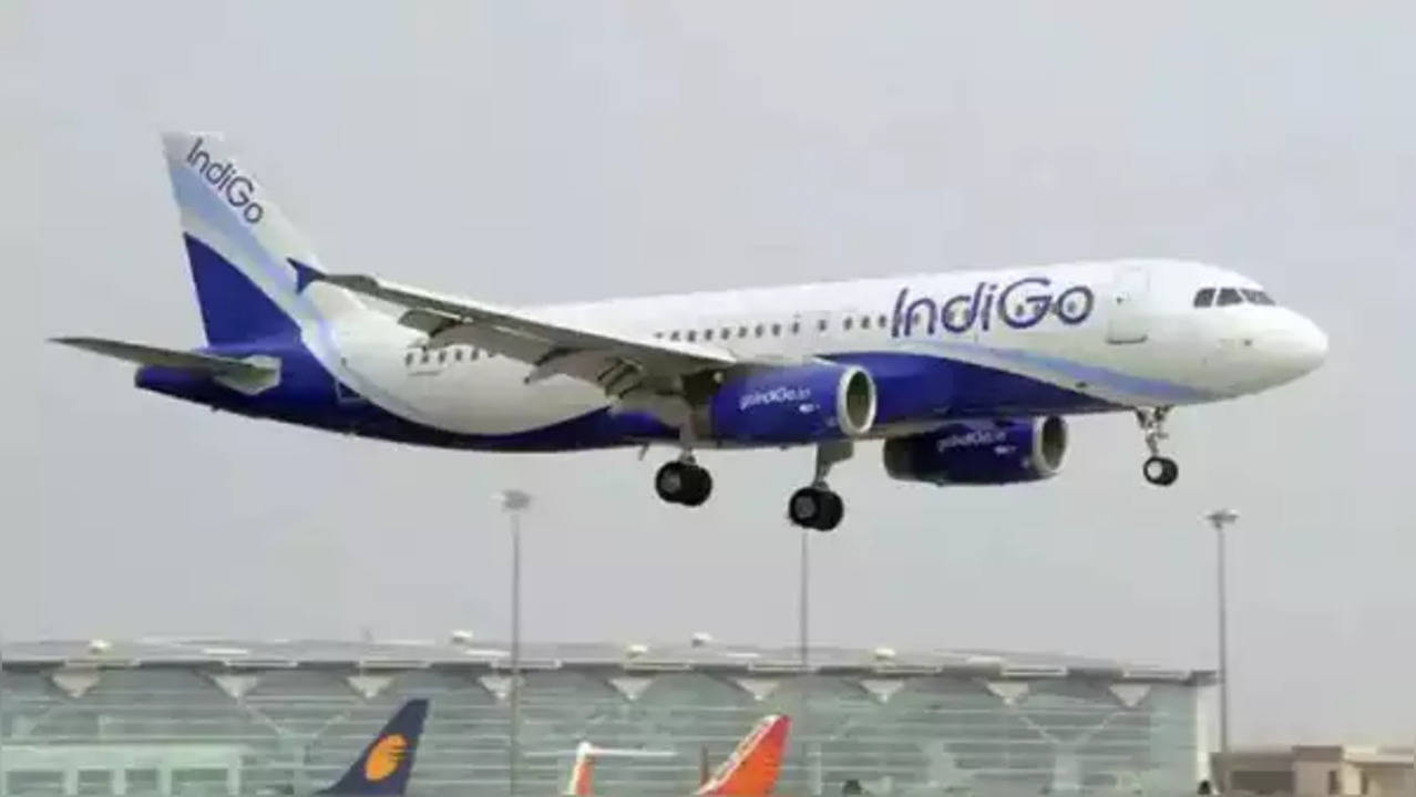 indigo.