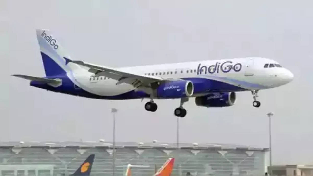 IndiGo.