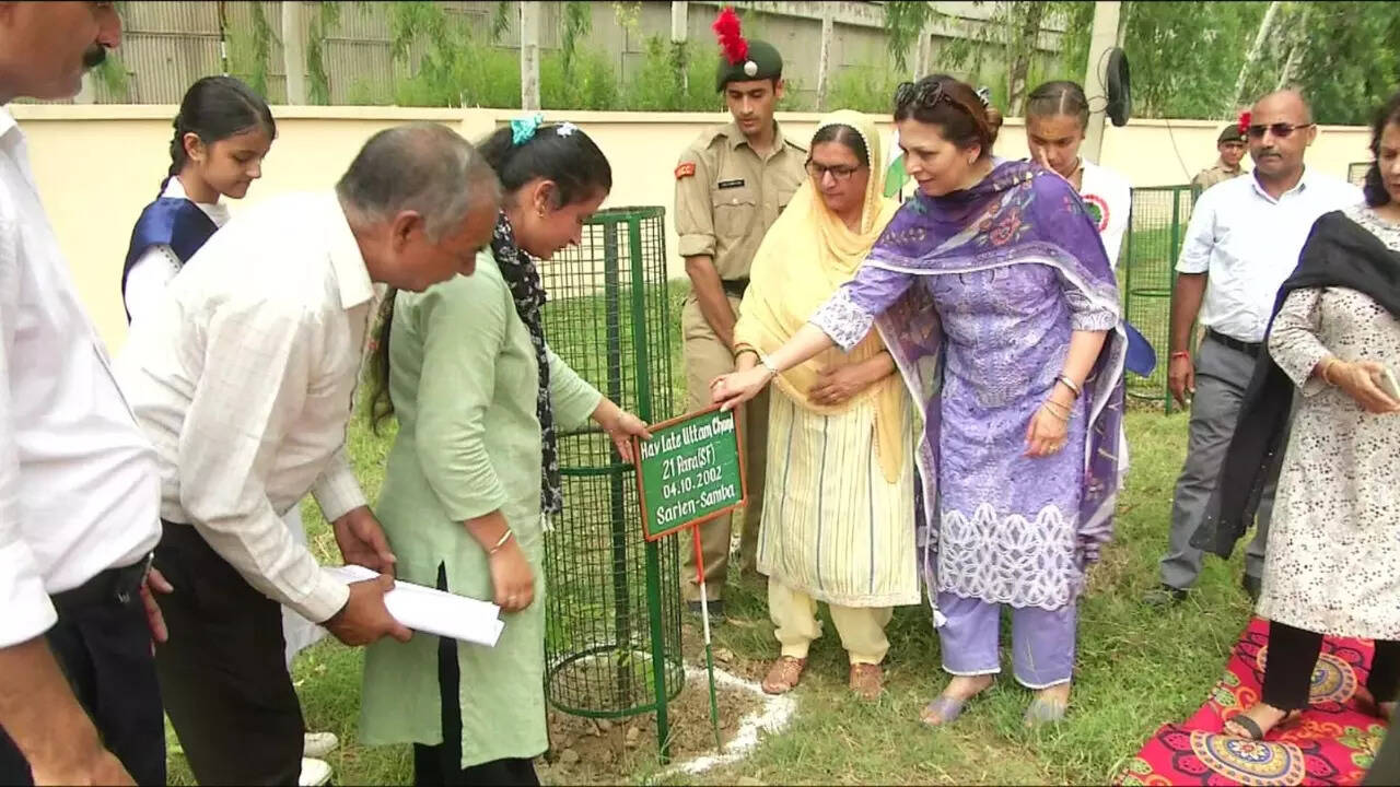 Samba Tree Plantation