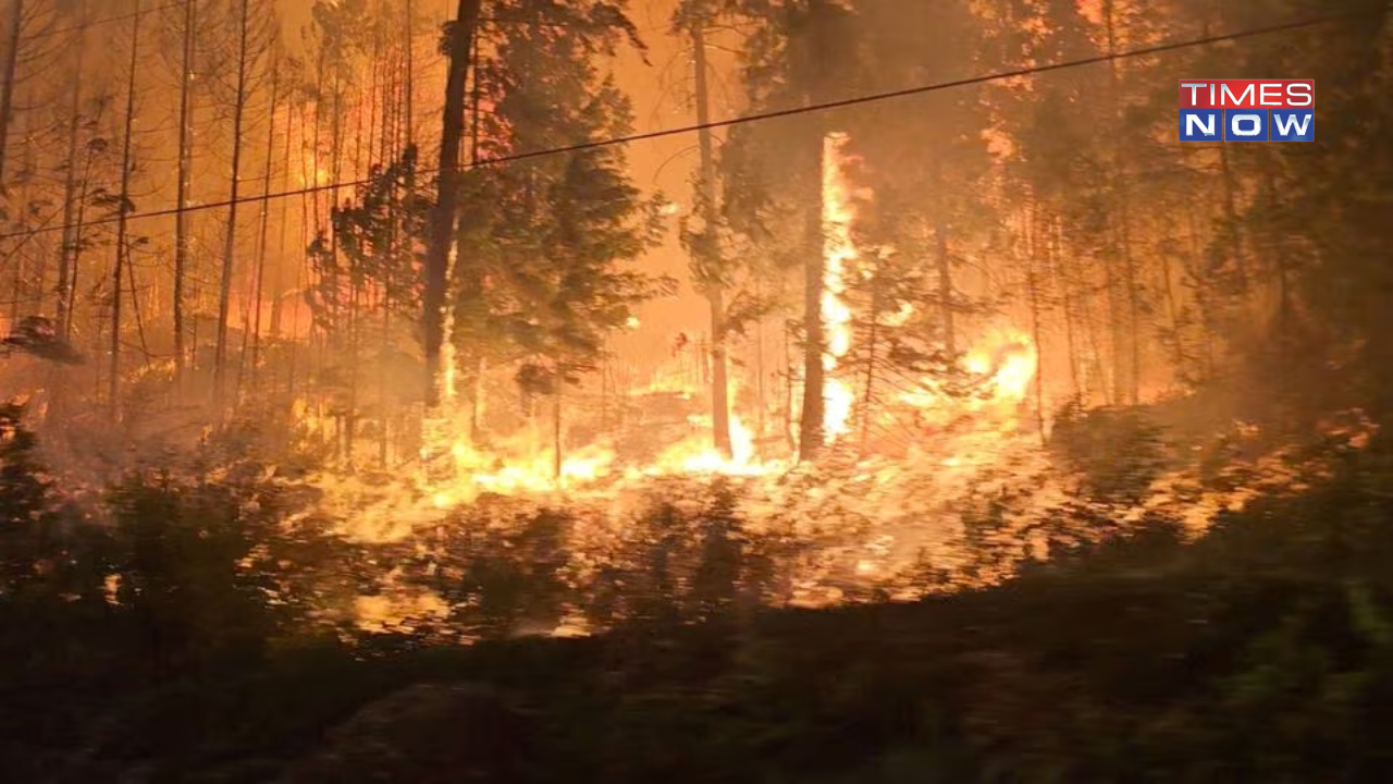 Canada Wildfires: Around 30,000 Asked to Flee British Columbia as Fires Rage On