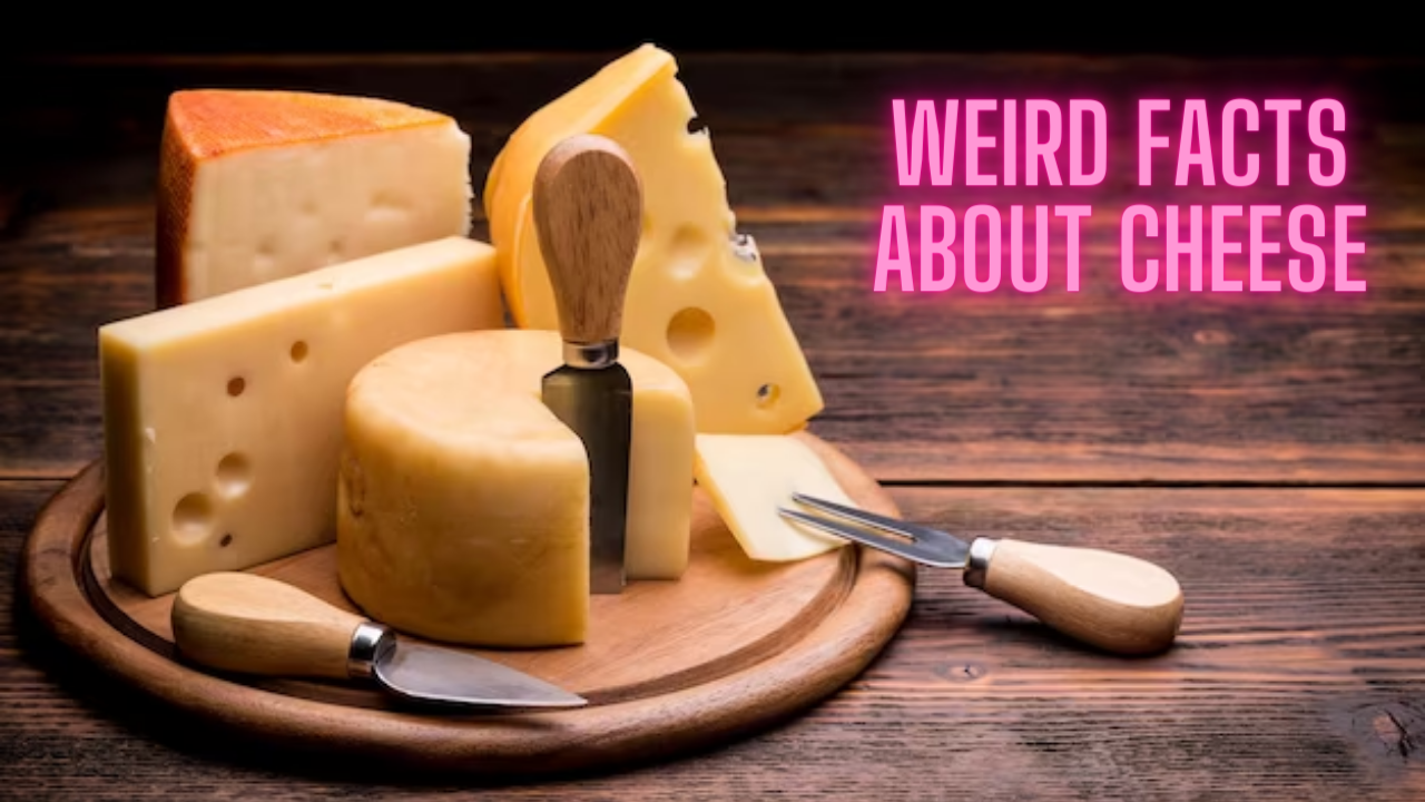 Weird Facts About Cheese