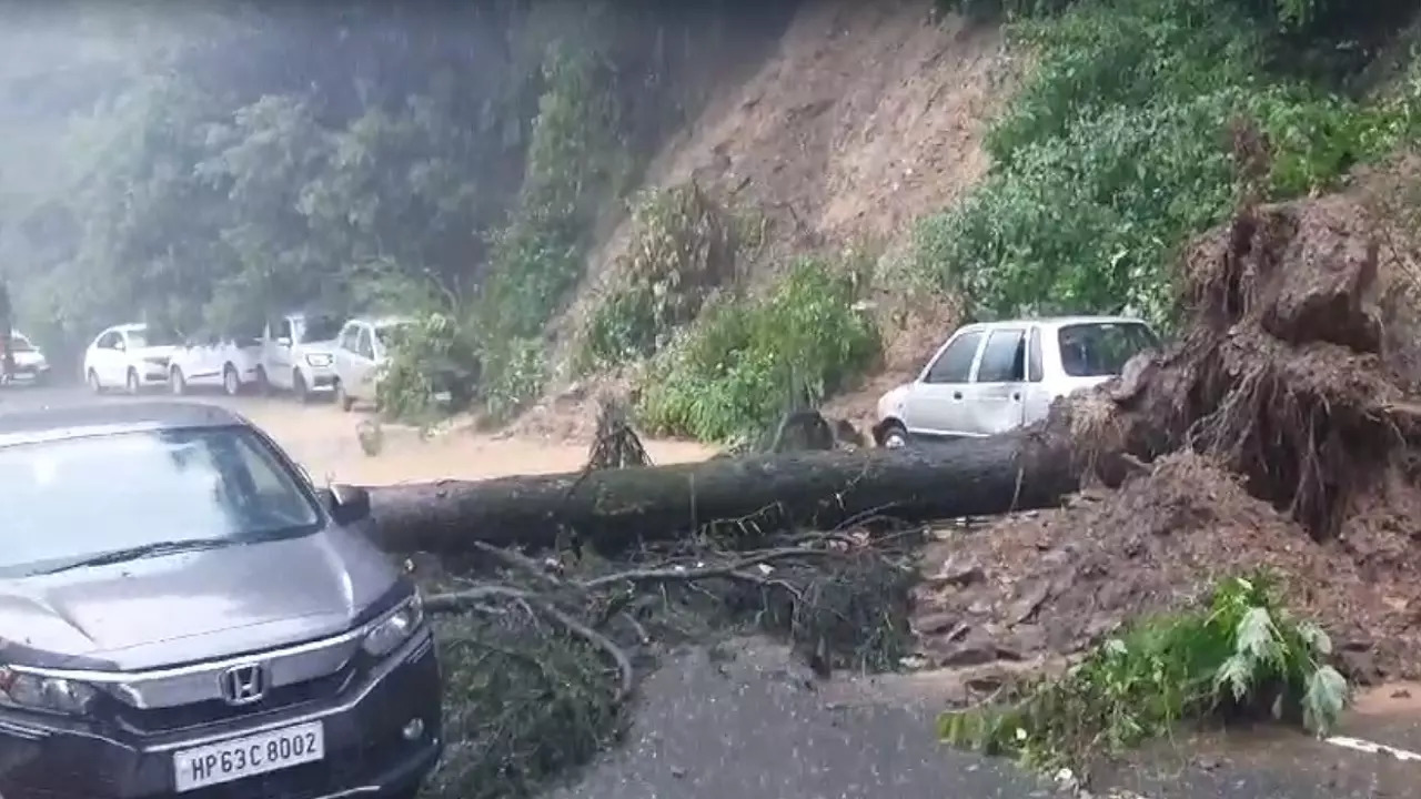 Himachal rains