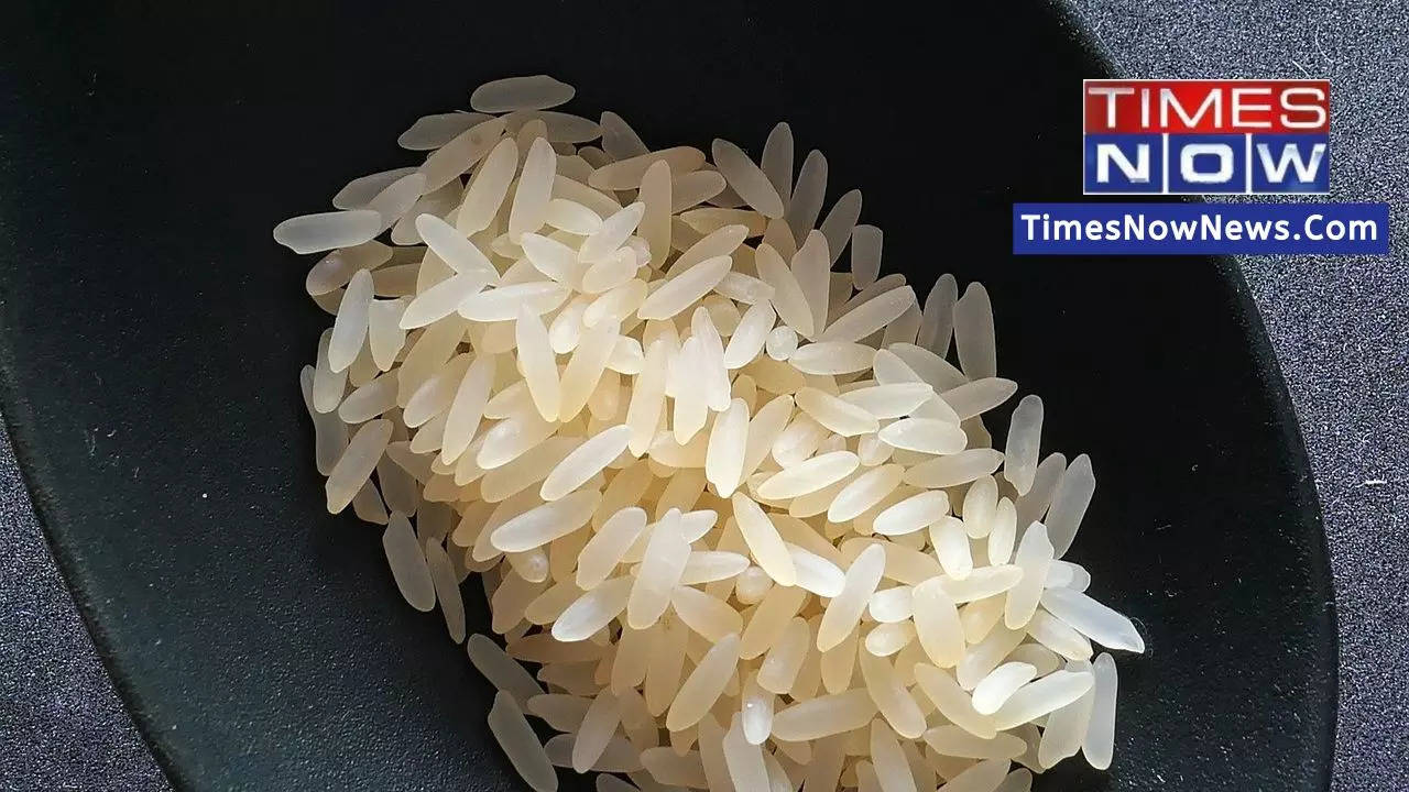 Rice