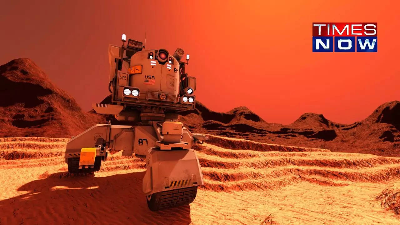 The Martian Whodunit: Earth's Rovers on Trial