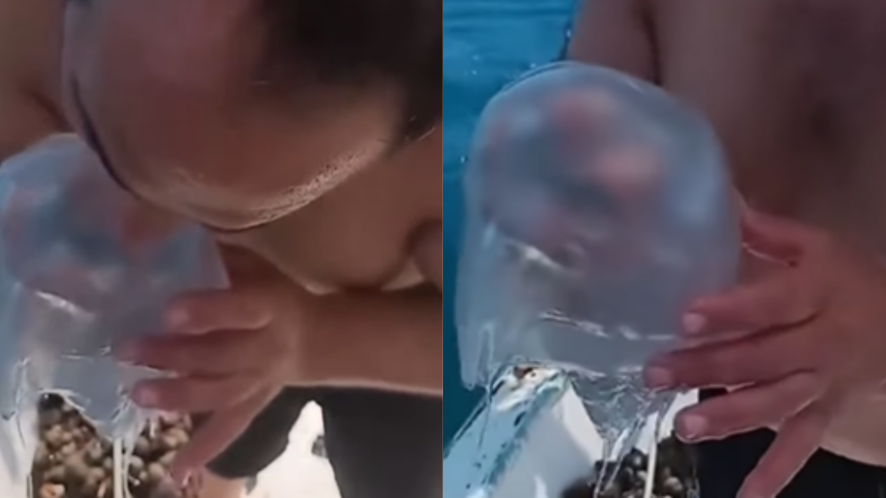 The clip portrays the man stationed on a boat, daringly clutching a raw jellyfish in his hand as he contemplates tasting the aquatic creature.