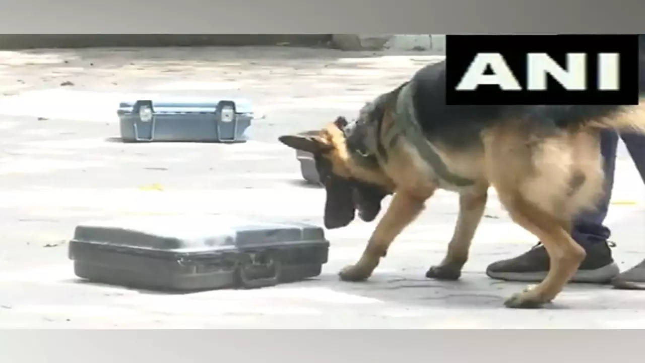 Delhi Police Dog Squad