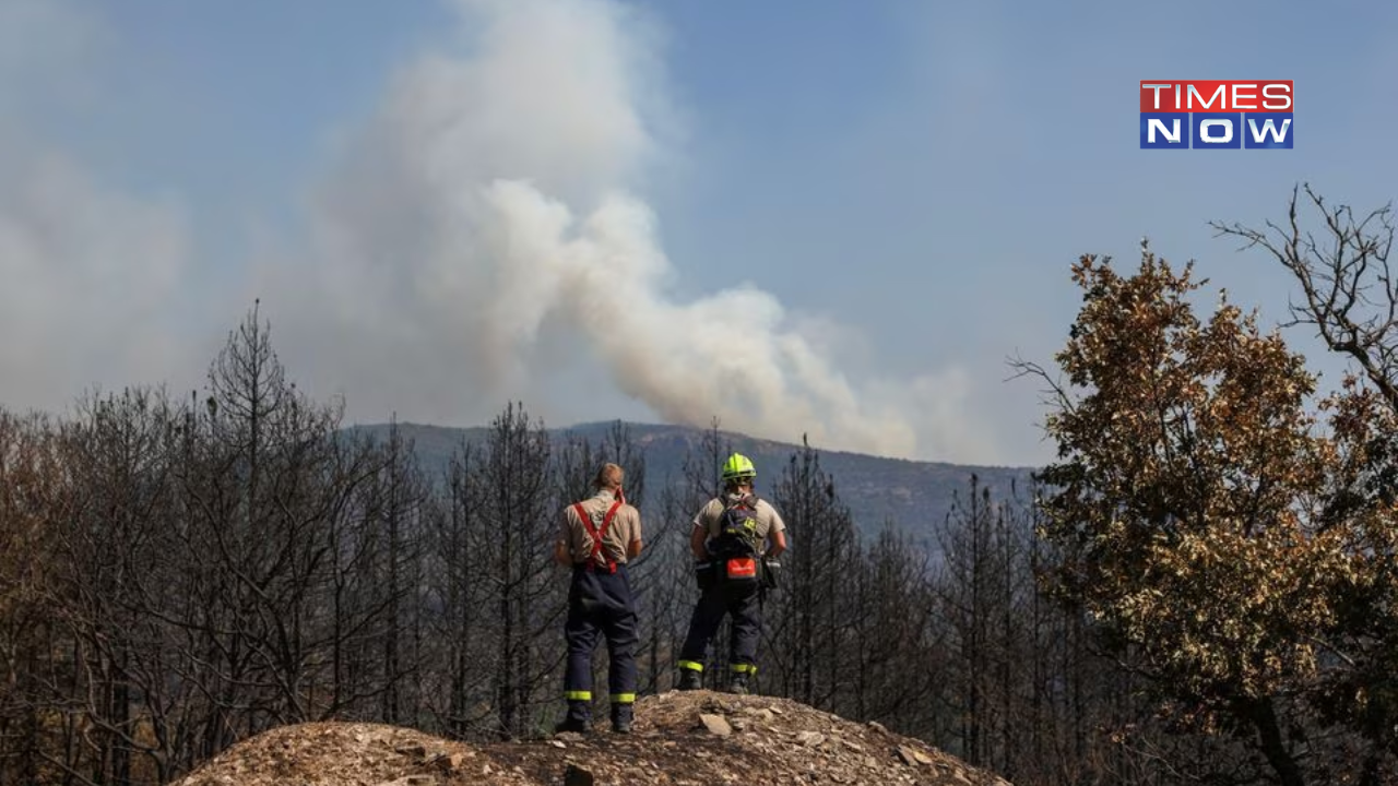 Greece Wildfires Declared Largest Fire in EU History, Area Larger than New York Burnt Down