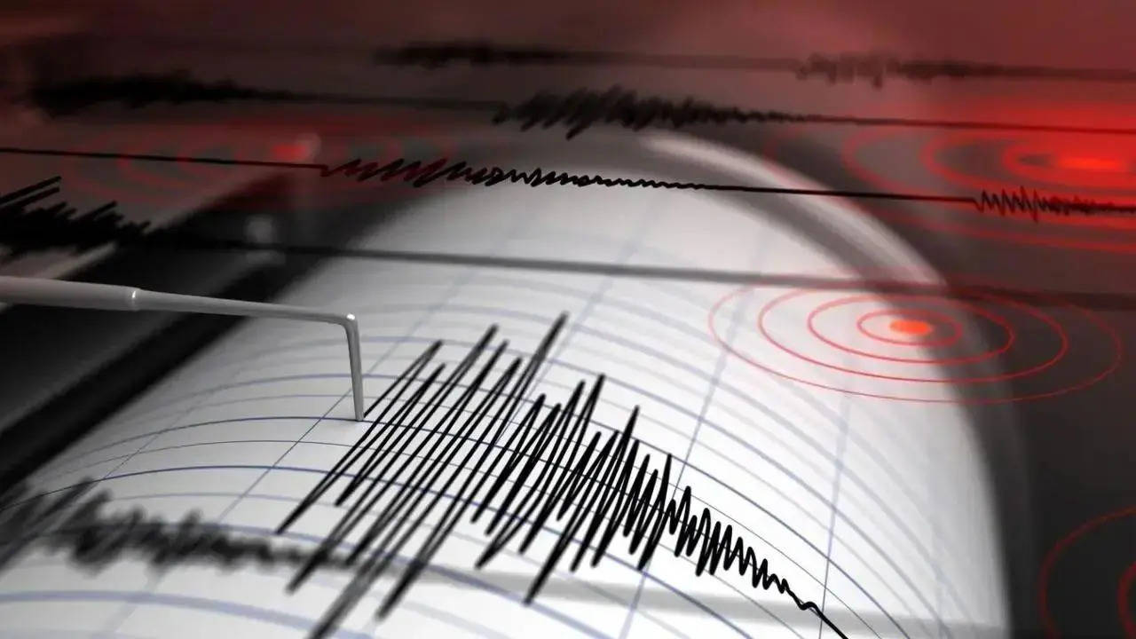 Magnitude 4.5 Earthquake Hits Gujarat's Kutch (Rep image)