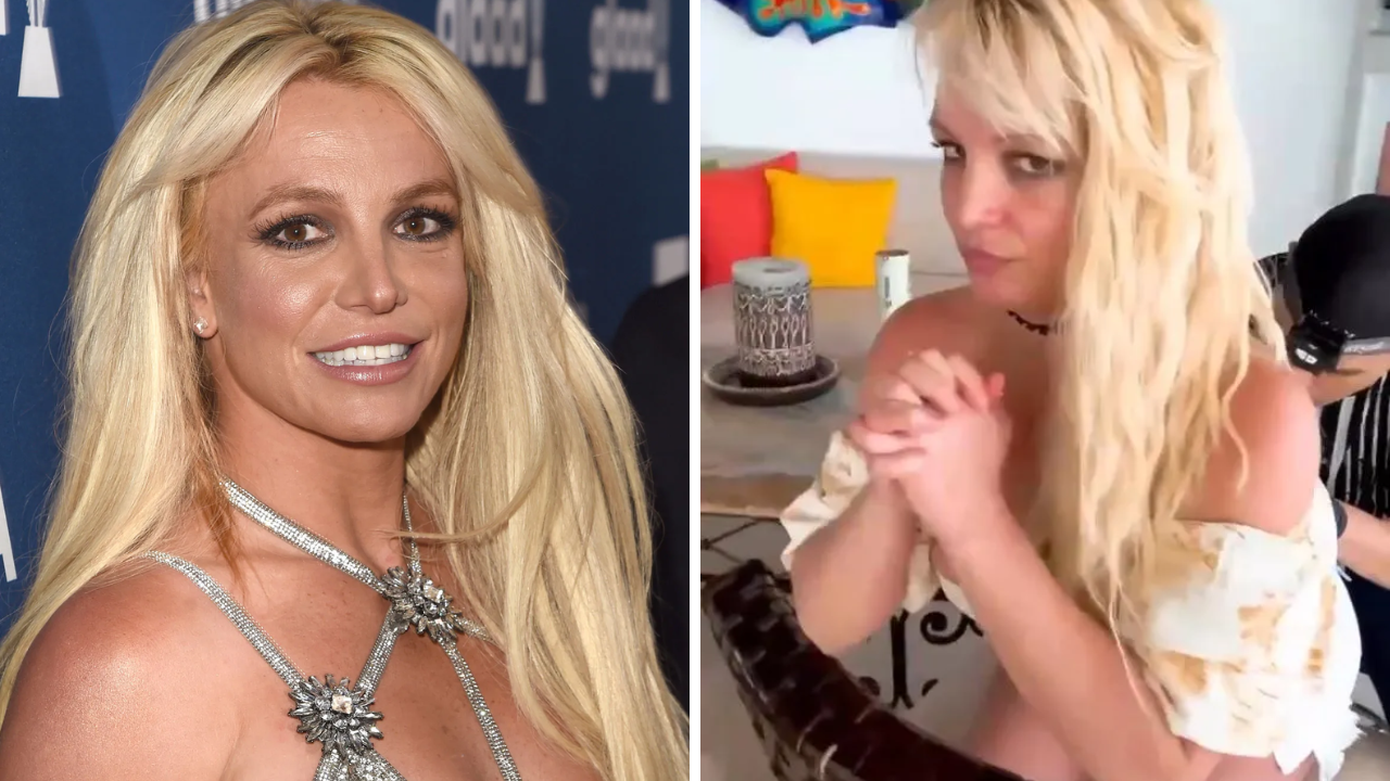 Britney Spears Debuts New Snake Tattoo