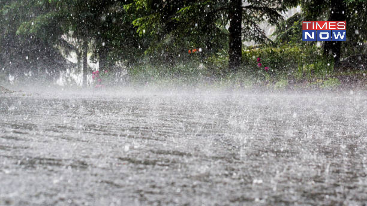 Kerala Rains: IMD Issues Orange Alert in 2 Districts Due to Heavy Rainfall