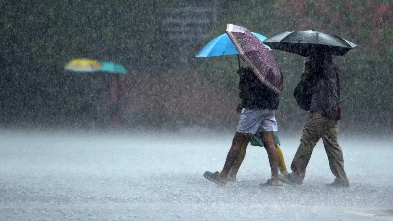 Weather Update: Heavy Rainfall Likely In Odisha, Assam, Meghalaya, UP | Check Forecast