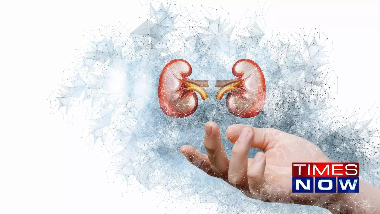 The Dawn of the Bioartificial Kidney: Revolutionizing Dialysis and Transplants