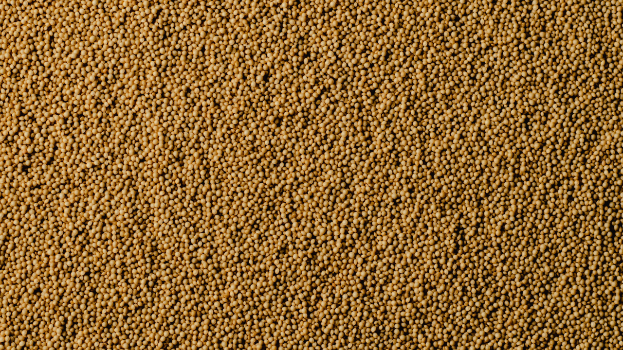 Unlock the Health Benefits of Amaranth Seeds An Ayurvedic Superfood Diet News, Times Now