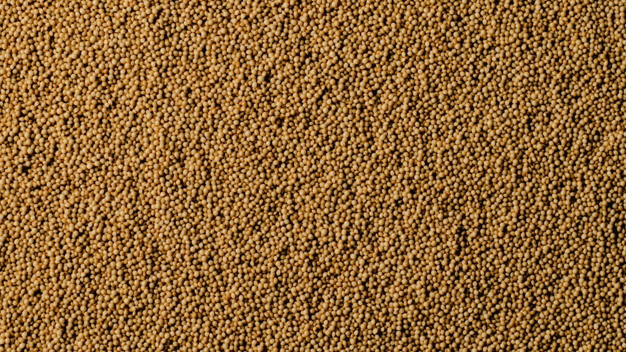 Amaranth Seeds: An Ayurvedic Powerhouse