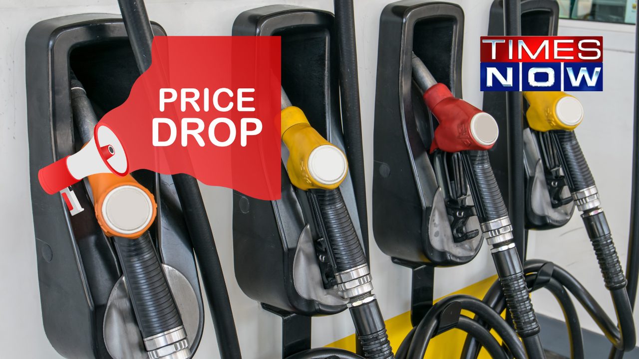 Petrol and Diesel Price Cut! Government Likely To Reduce Prices By Rs 3 to 5 Around Diwali