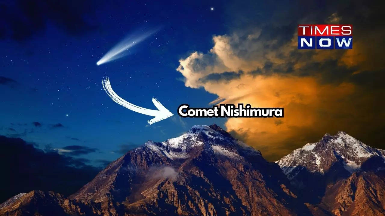 A New Star in the Sky: The Arrival of Comet Nishimura