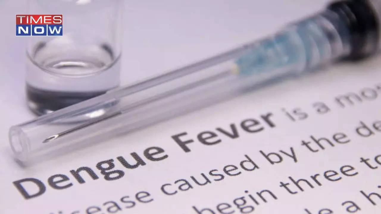 Dengue Fever