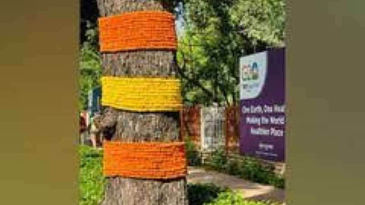 G20 Summit: Trees in Delhi Get Festive Makeover with Marigolds Flowers