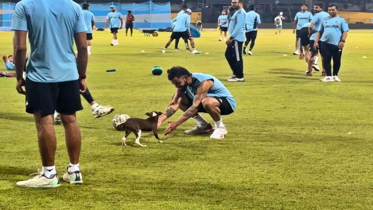 Virat Kohli Bonds With A Playful Puppy During Practice Session In Colombo Ahead Of Pakistan Game