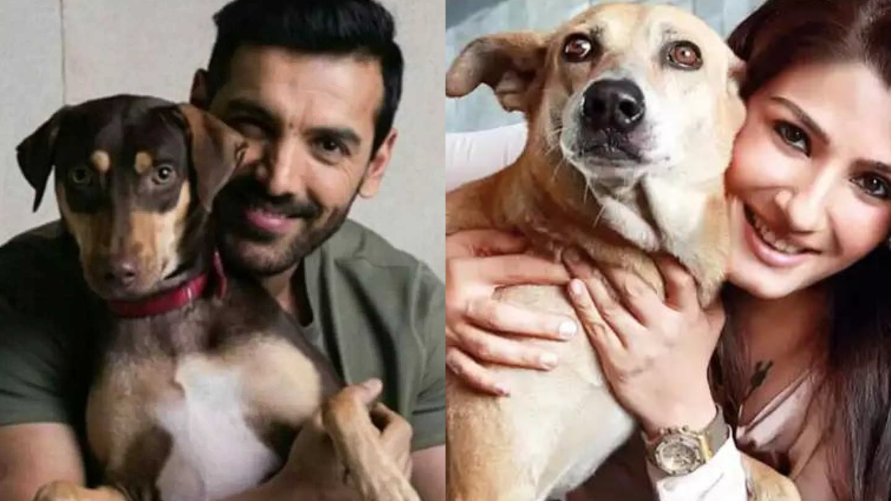 Bollywood Actors Who Are Proud Pet Parents To Stray Dogs (Photos Instagram)