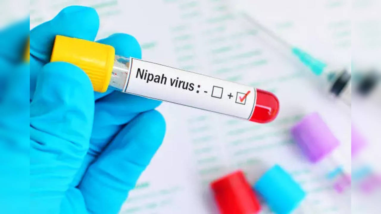 Nipah Virus Alert: Know The Causes And Symptoms Of This Deadly Ailment As Two Succumb In Kerala