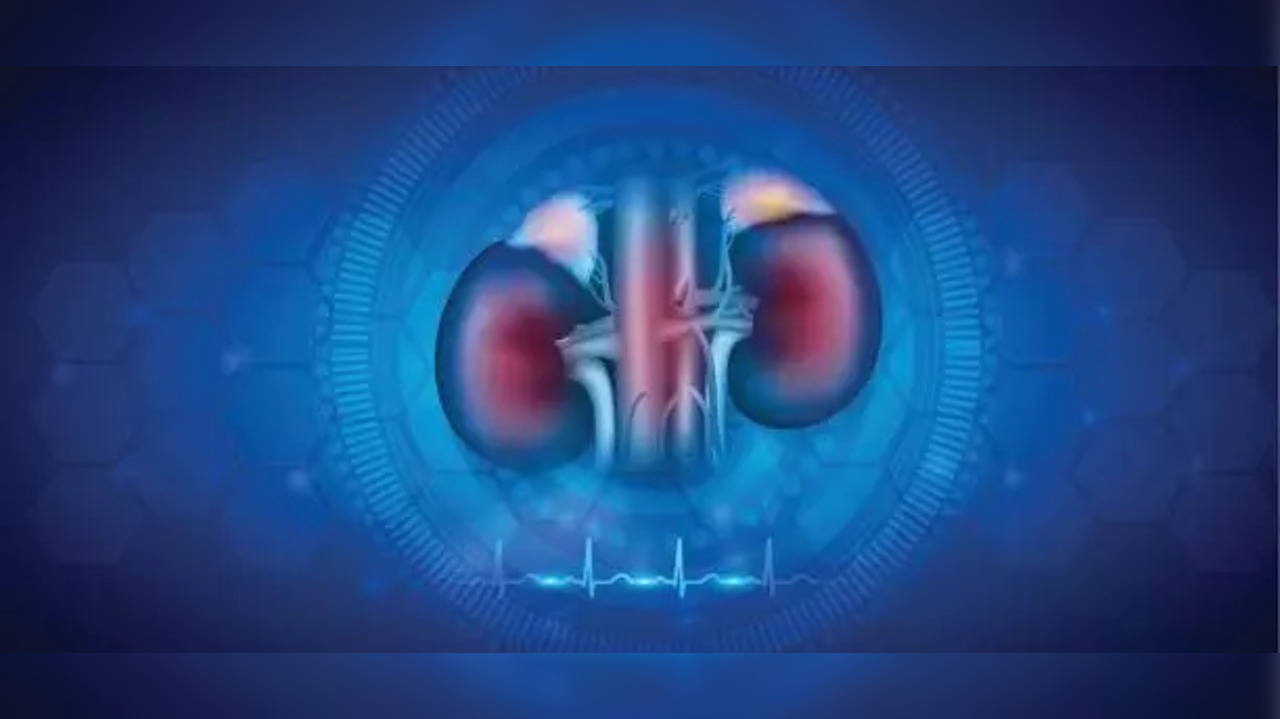 diabetes kidney damage