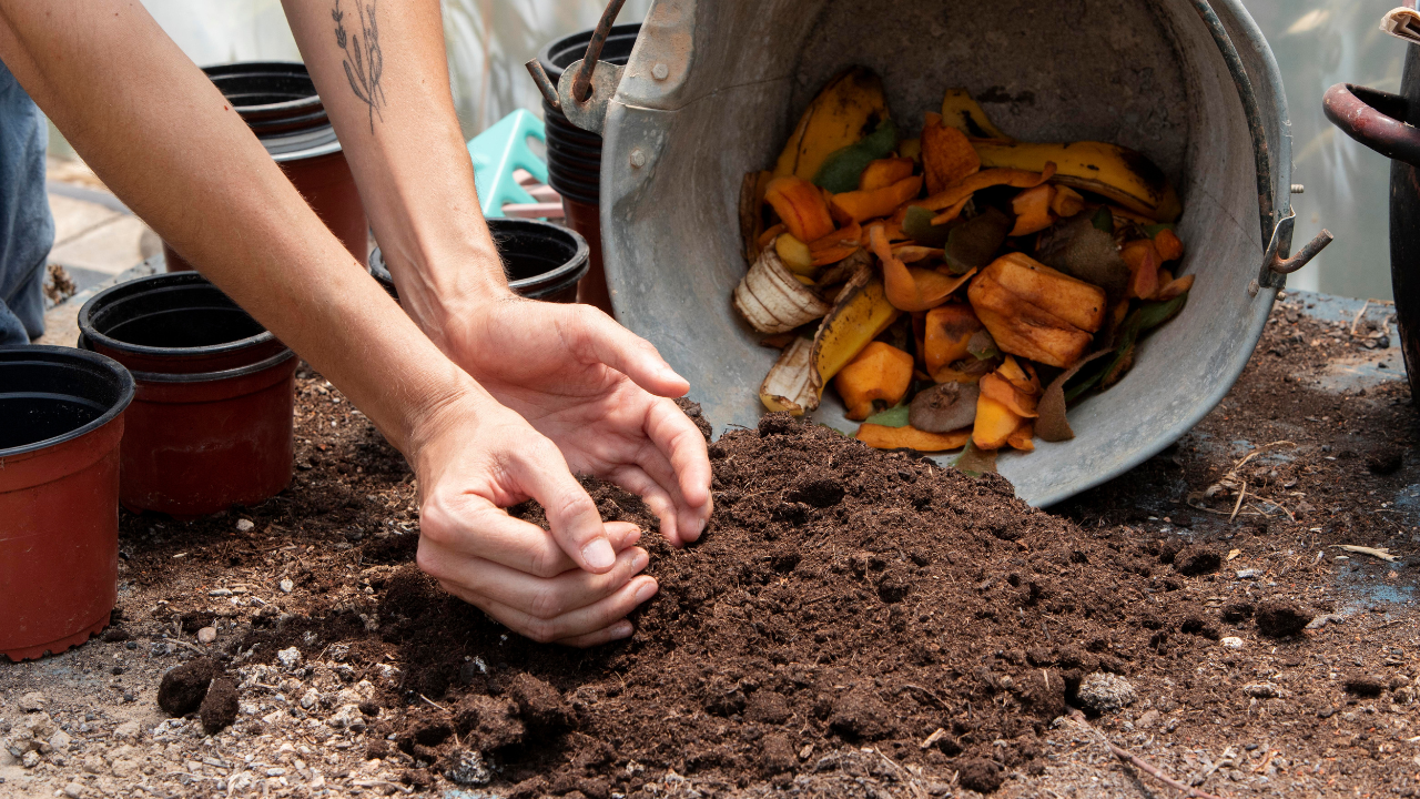 Compost