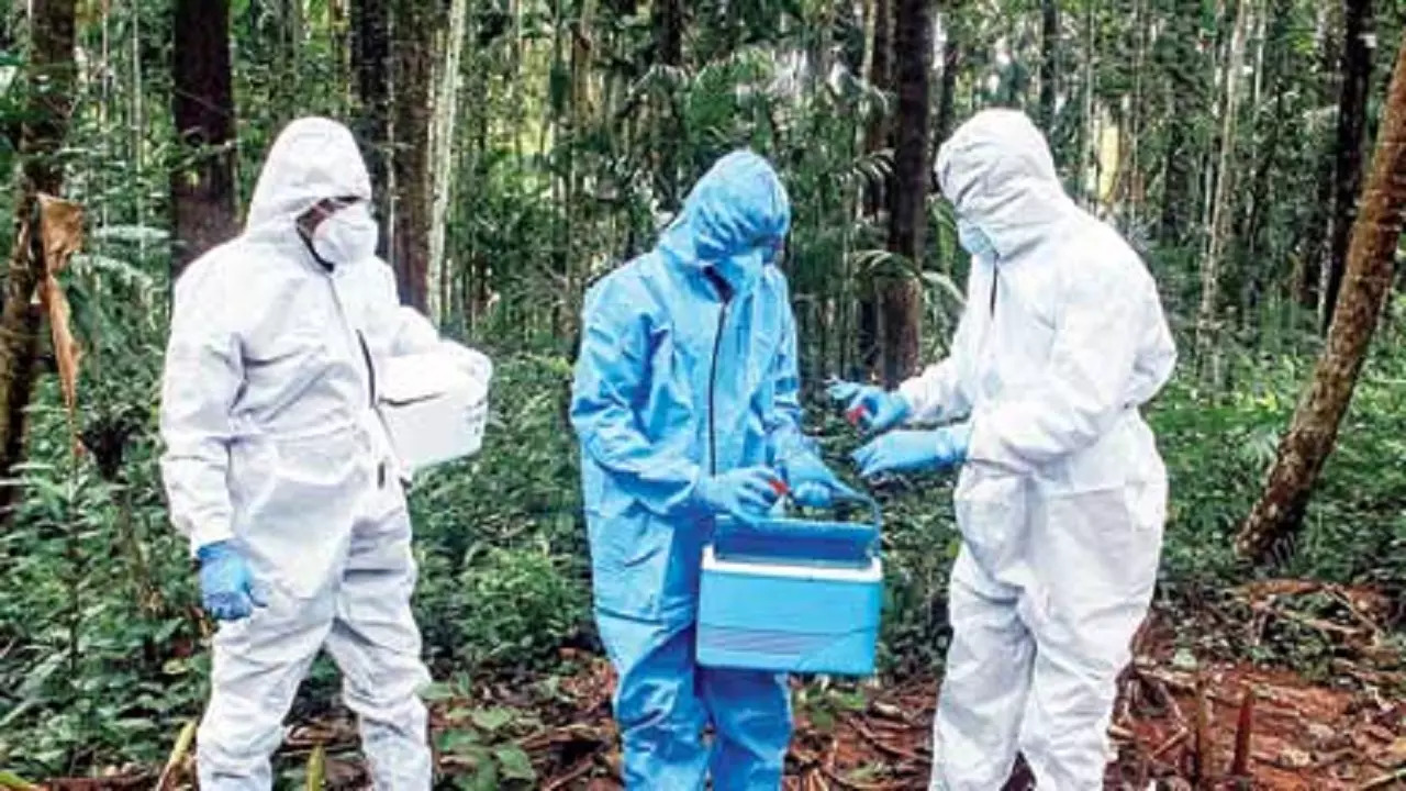 Nipah Virus Alert In Kerala: What Government Is Doing To Contain Infections | Details