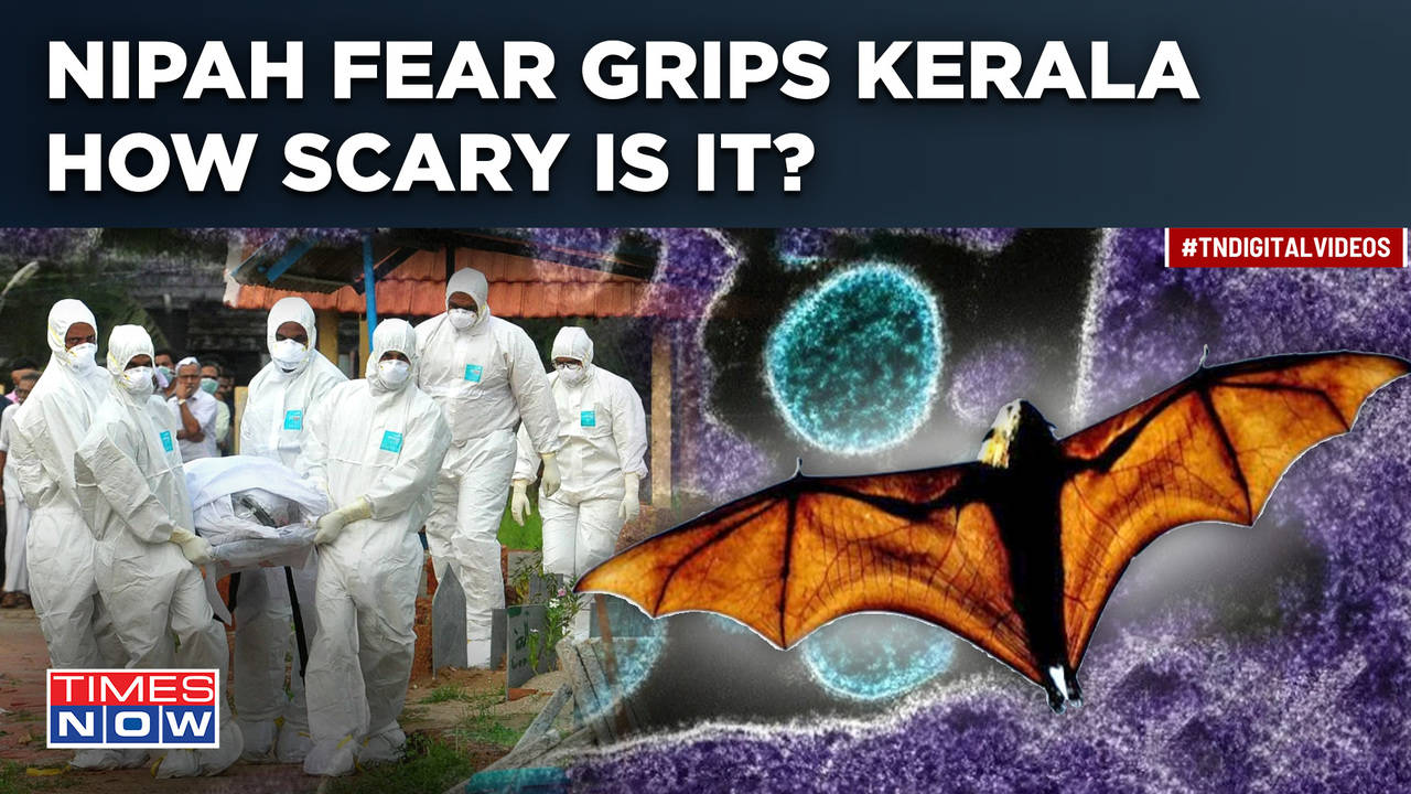 Nipah Virus Scare Grips Kerala As Centre Confirms Two Deaths, 7 ...