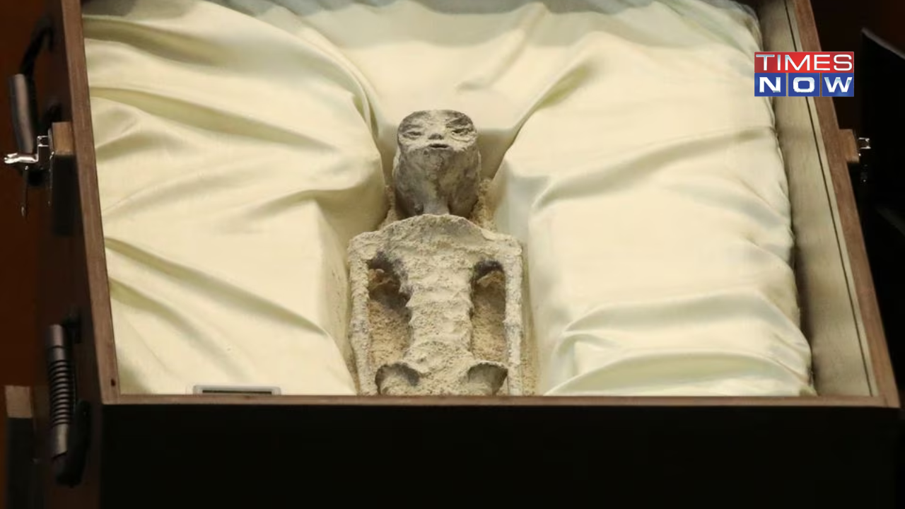 We Are Not Alone: Mexican Congress Continues Hearings on Alien Bodies ...