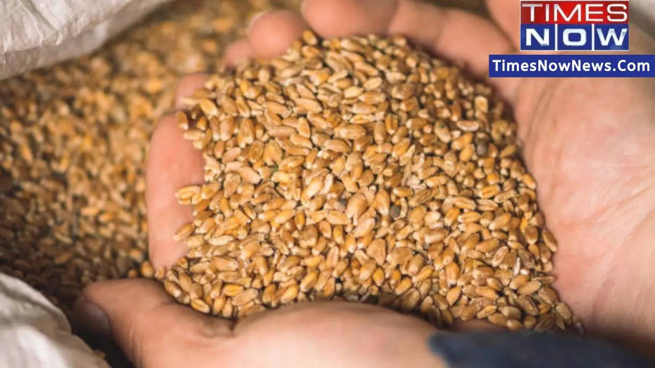 Govt tightens wheat stock limits