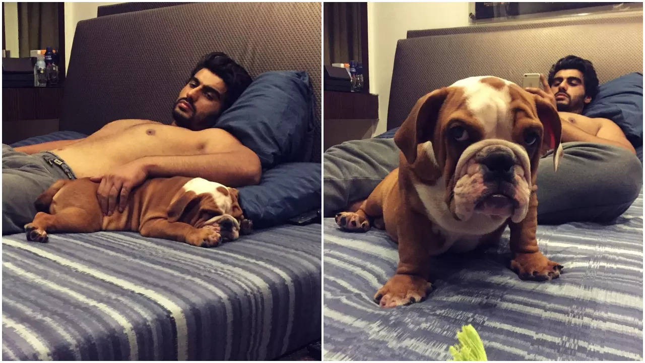 Arjun Kapoor's dog passed away