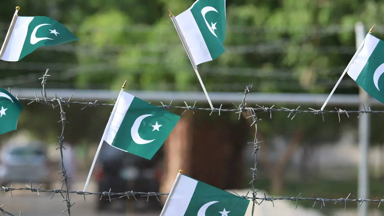 Pakistani flags