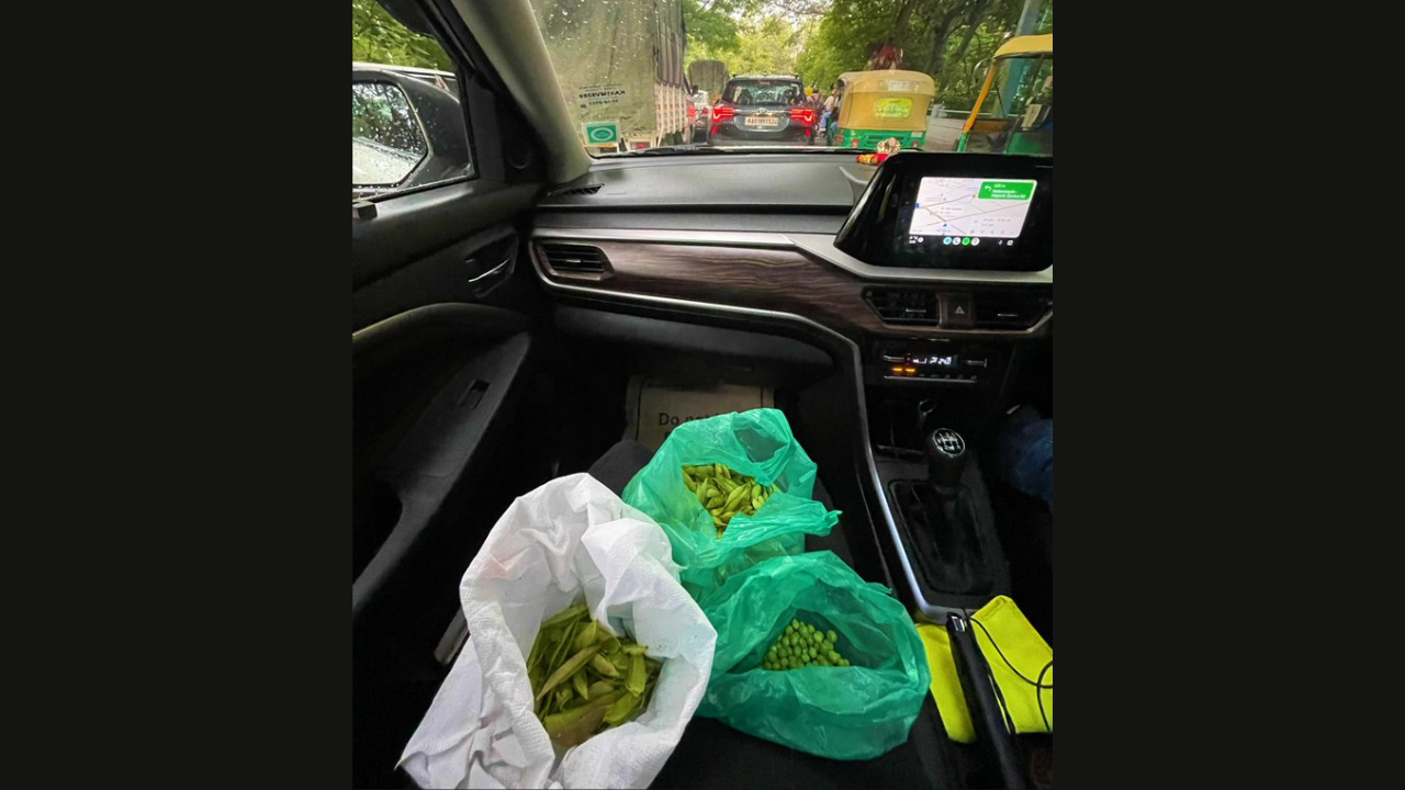 Stuck In Traffic, Bengaluru Woman Peels Vegetables In Car