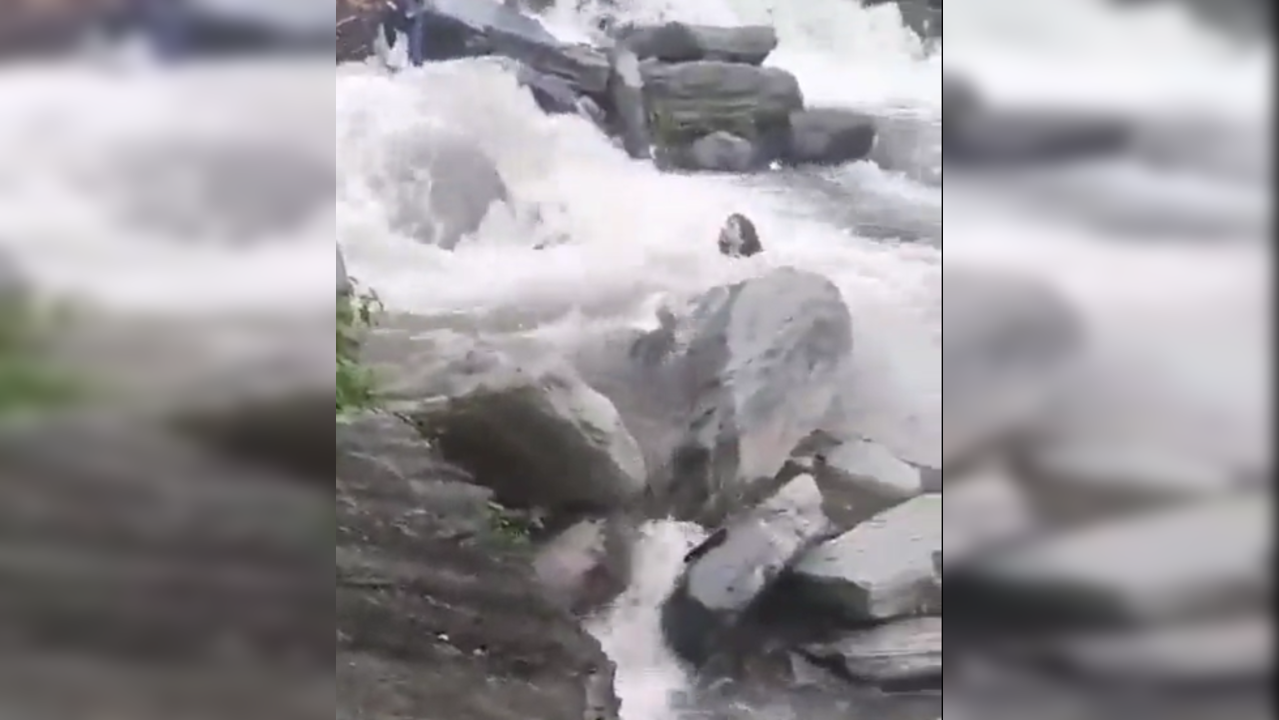 Tourist From Punjab Drowns While Bathing Near Waterfall In Himachal's Dharamshala