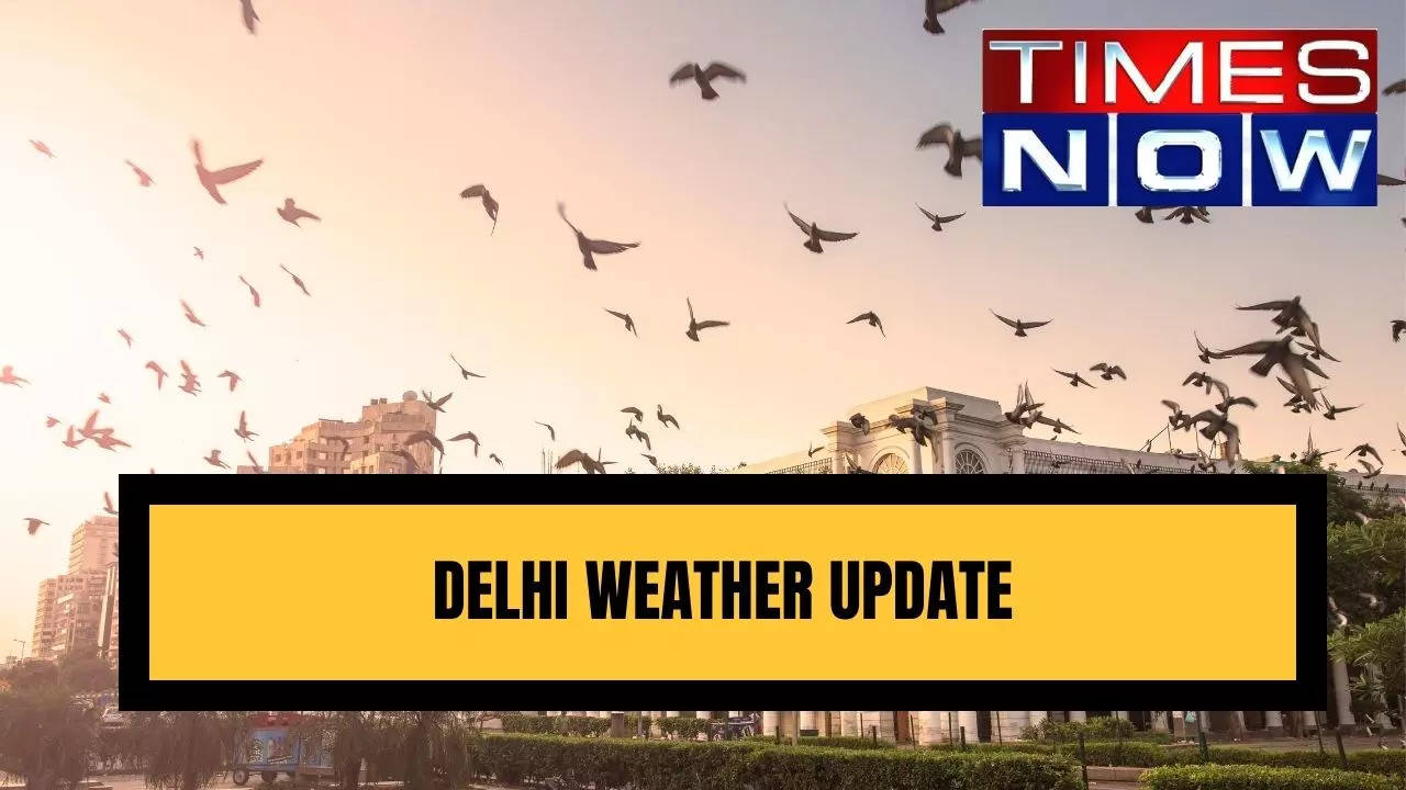 Delhi Weather Update