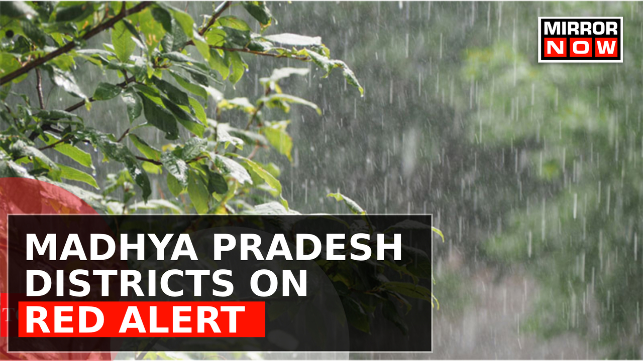 Madhya Pradesh On Red Alert Heavy Rains Wreak Havoc Roads Flooded Houses Washed Away Top 8437